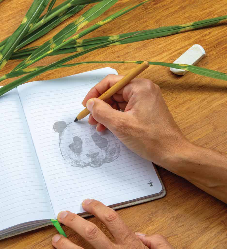 ETERNITY – eco-neutral Bamboo 100x Long Lasting Pencil